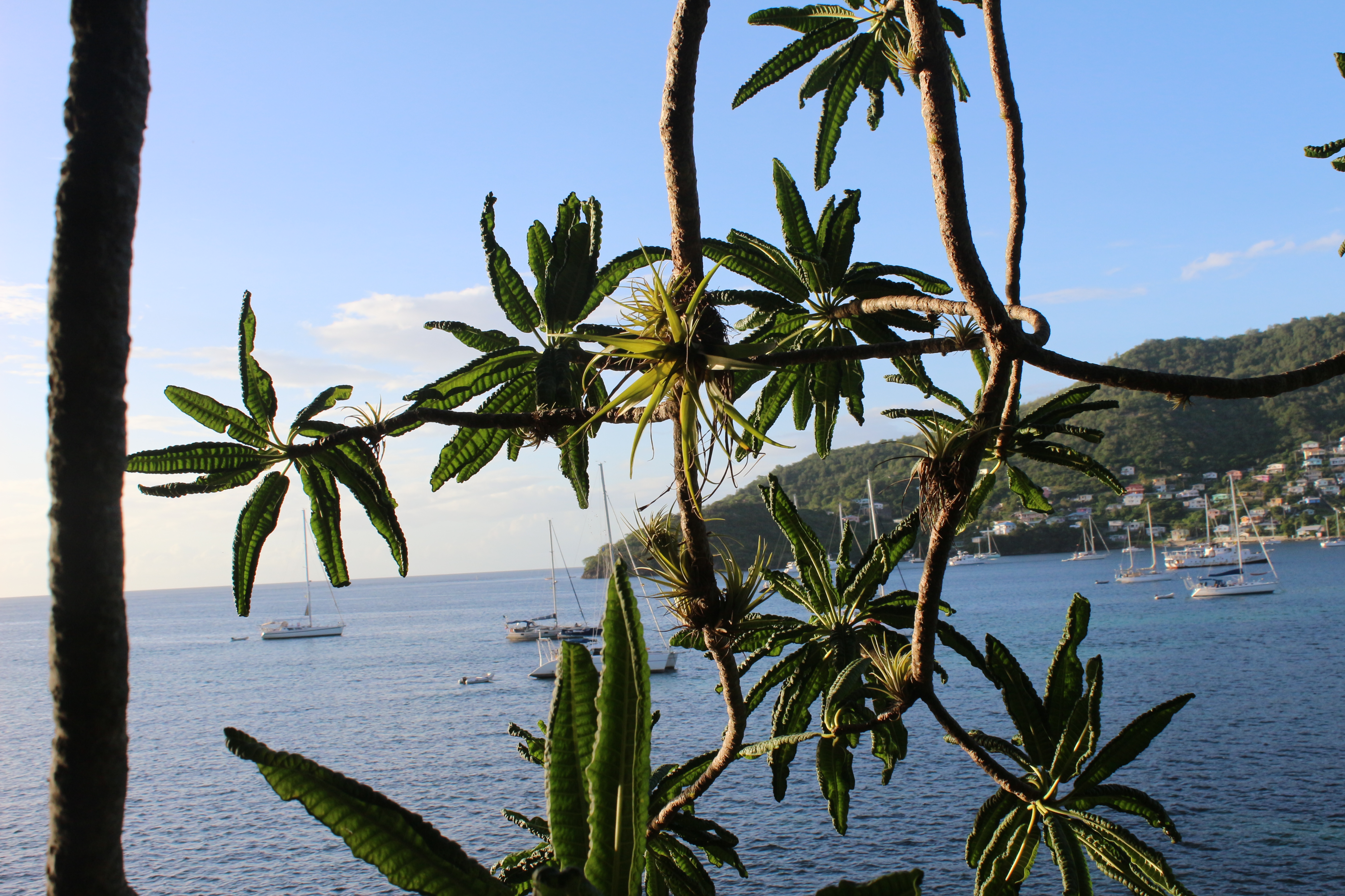 Martinik - Grenadiny jachting v exotice